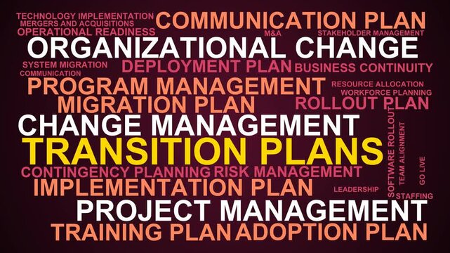Transition Plans Word Cloud