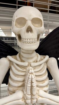 skull and crossbones