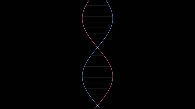 Minimalist DNA strands intertwining in a vertical motion for biotechnology and medical research
