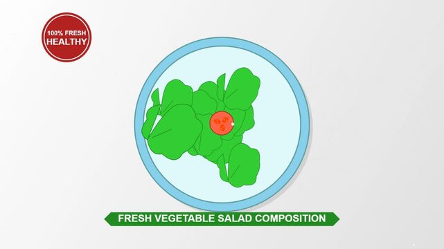 Healthy Fresh Vegetable Salad Infographic Illustration Concept