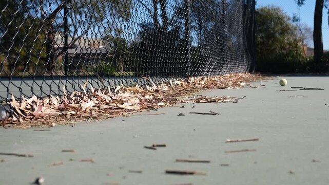 Fallen eucalyptus leaves and small twigs accumulated along the bottom of a chain-link fence. Peaceful atmosphere of an empty suburban tennis court in Australia.