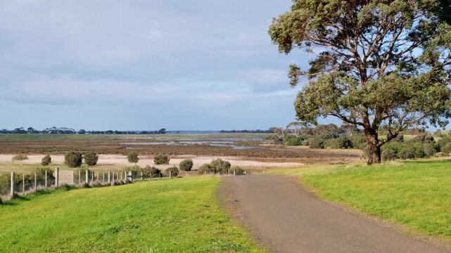 Sealed walking and cycling path of Hovells Creek Trail winding past open grassy fields and native gum trees toward coastal saltmarshes and wetlands in Corio, Victoria, Australia.