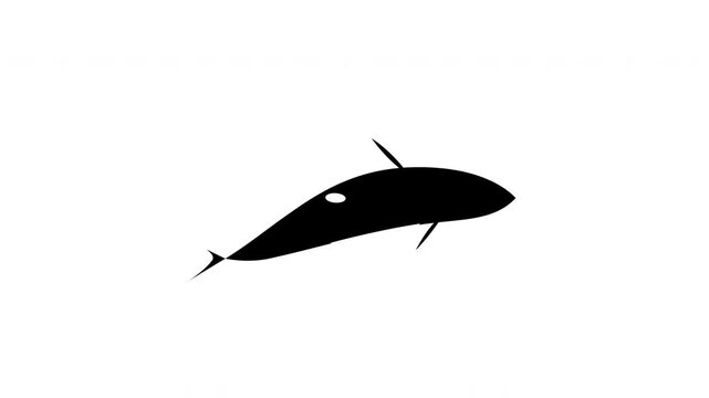 Seamless Looping Animation of an Orca Silhouette Swimming on White Background