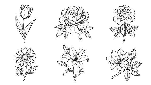 Minimalist flower line art vector set isolated on white background, black linear drawing of tulip, peony, rose, daisy, lily, magnolia for coloring page, tattoo, wedding card, and logo design.