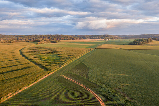 rural lanscape of central MIssouri in sunset light with corn fields