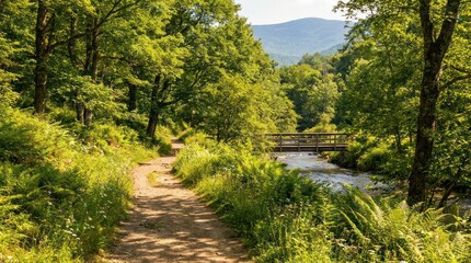 Fototapeta premium peaceful nature walking trail winding through lush green summer landscape