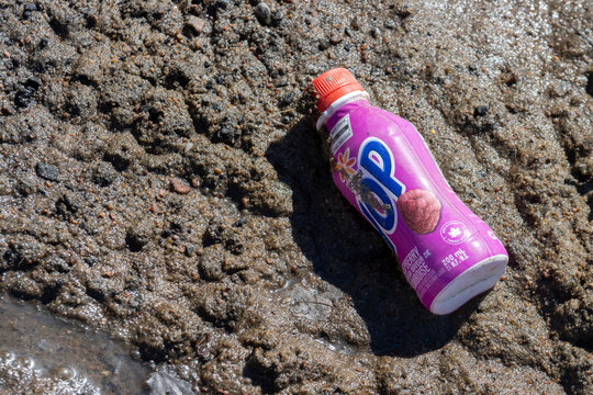 Quebec, Canada, 26 April 2026 : A purple Yop raspberry yogurt drink bottle lies on wet, sandy ground.