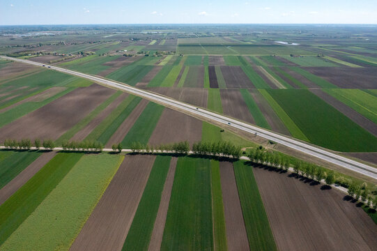 Aerial view of agricultural landscape with patchwork fields, a straight road cutting through the farmland, and rows of trees in Palic, Vojvodina, Serbia.
