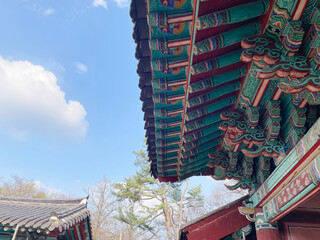 Traditional Korean palace roof featuring colorful dancheong patterns under a clear blue sky. A cultural heritage and architectural image suitable for travel, history, tourism and Korean culture themes © 정민 박