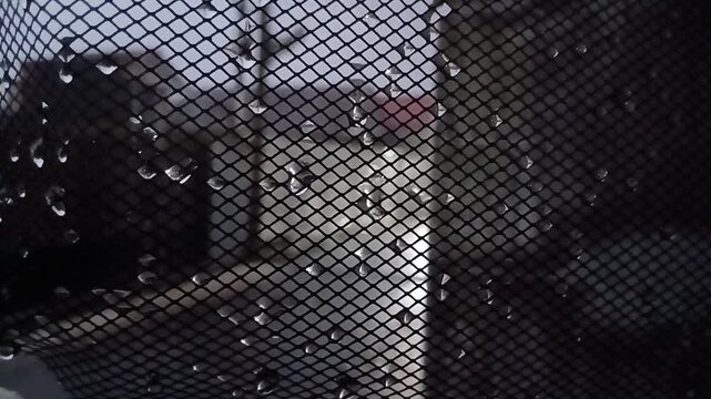 Macro shot of water droplets glistening on a black diamond wire mesh screen during rainfall
