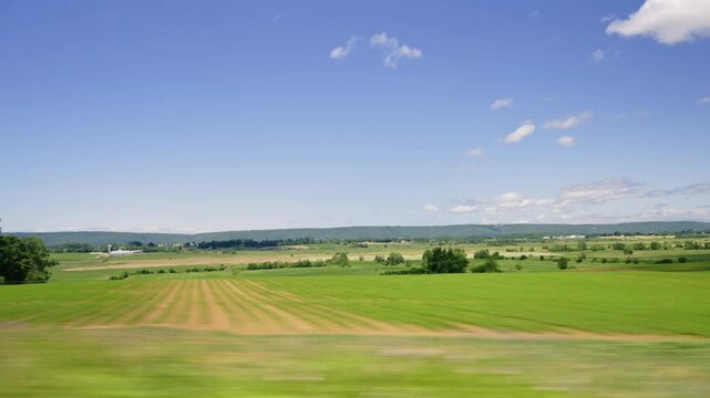 Exploring the summer views of nova scotia from a car window