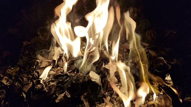 Bright flames burning against a dark background, showcasing intense fire, glowing embers, and dramatic contrast.