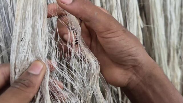 Close Up Of Person Inspecting Dry Raw Jute Fiber Strands With Hands