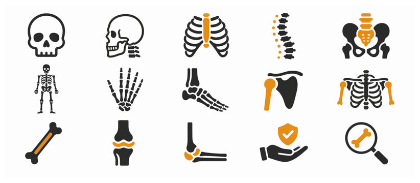 Collection of human skeleton and bone anatomy icons.