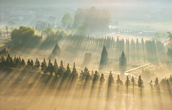 Aerial view of Candi Arjuna Dieng surrounded by rows of cypress trees and misty fields illuminated by dramatic sunbeams in Indonesia.