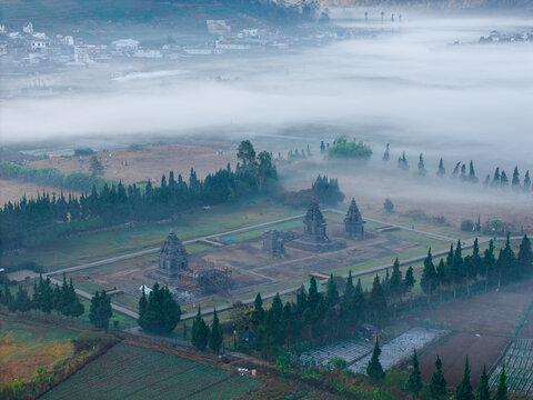 Aerial view of Candi Arjuna temple complex surrounded by lush pine trees and agricultural fields shrouded in thick morning mist in Indonesia.