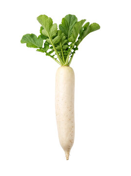 Fresh white daikon radish vegetable with green top as isolated object