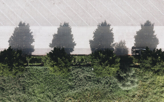 Aerial view of a row of trees casting long shadows onto a paved parking lot next to a grassy embankment in Culemborg, Gelderland, Netherlands.