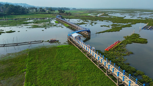 Aerial view of Jembatan Biru Rawapening stretching across the calm waters and lush green wetlands of the lake in Kecamatan Bawen, Jawa Tengah, Indonesia.
