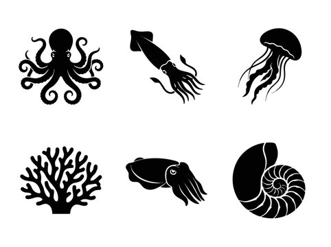 Marine animal silhouette vector set. Collection of sea life icons and ocean creatures.