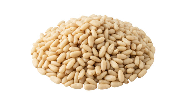 Pile of raw pine nuts isolated on white. Organic cedar nut seeds for healthy cooking.