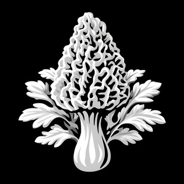 White morel mushroom with decorative leaves on black background, 3D render