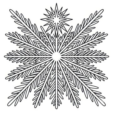 Black and white snowflake design