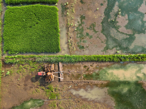Aerial view of a tractor working in a muddy rice paddy field with vibrant green crops and water channels in Tuntang, Central Java, Indonesia.