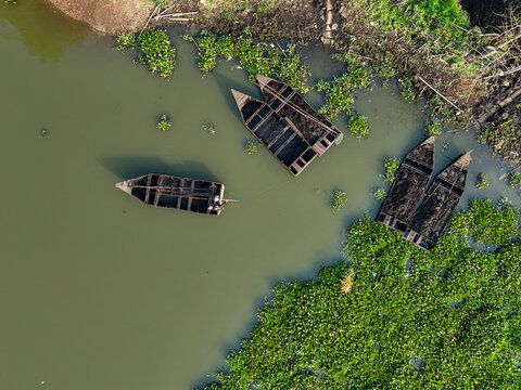 Aerial view of wooden boats collecting sedimentation from the water surface of Rawa Pening lake surrounded by aquatic plants in Waduk Rawapening, Central Java, Indonesia.