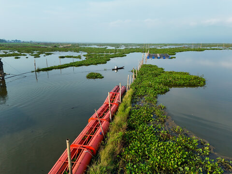 Aerial view of a fisherman in a small boat navigating through water hyacinth and red floating fish farming pipes on Rawa Pening lake Waduk Rawapening, Central Java, Indonesia.