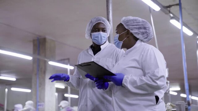 Two food factory workers inspecting fresh fish on processing line