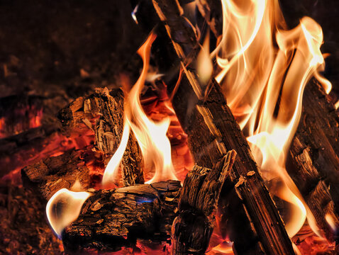 Night photo of bonfire. Closeup photography of flame of burning wood on black background.