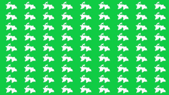 Tajikistan map pattern scrolling perfect 15 second loop with green background 