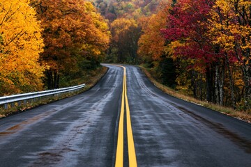 Fototapeta premium Road through a scenic forest with colorful autumn foliage on a wet asphalt highway