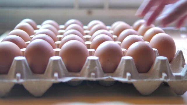 Close-up video of a hand selecting and inspecting brown chicken eggs arranged in a cardboard carton