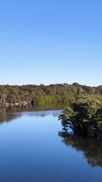 Tranquil River and Mangroves in South West Rocks Australia