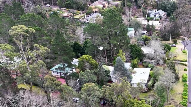 Aerial View of Residential Houses Nestled in Lush Eucalyptus Forest