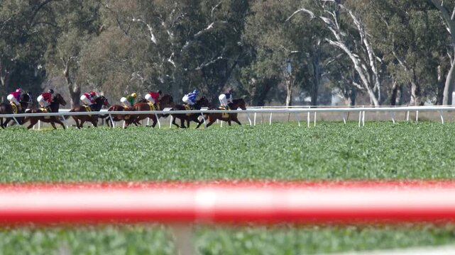 Thoroughbred Horses and Jockeys Racing on Turf Track in Gunnedah