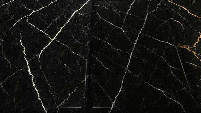 Graceful Movement Across Elegant Nero Marble Tiles Featuring Detailed Natural Stone Texture for Sophisticated Design Backgrounds
