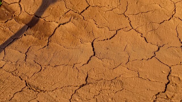View of textured wet clay surface with fine brush marks and small cracks in Riga, Latvia.