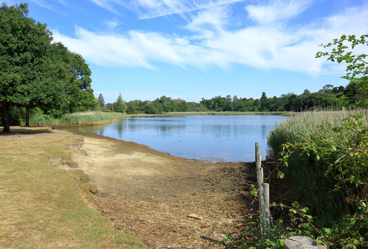 A scenic view across the Mill Dam at Beaulieu
