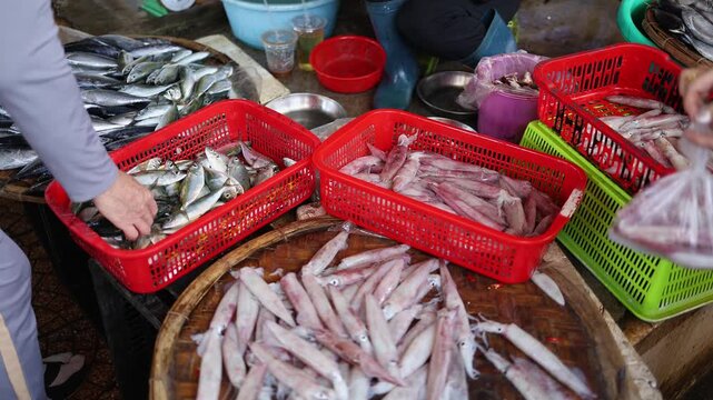 Fresh raw squids and small fish in plastic baskets at Vinh Hai market in Nha Trang, Vietnam. High angle view of seafood stall vendor receiving cash payment from customer at Asian wet market counter.