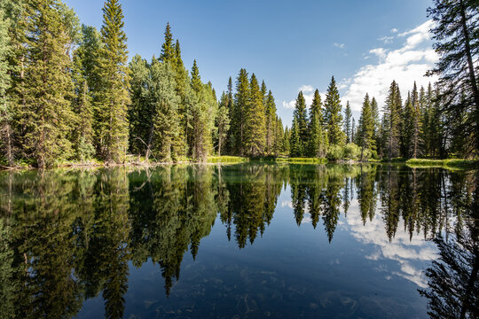 Reflections of evergreen forest in Thomas Lake in Maroon Bells-Snowmass Wilderness on clear sunny summer morning.
