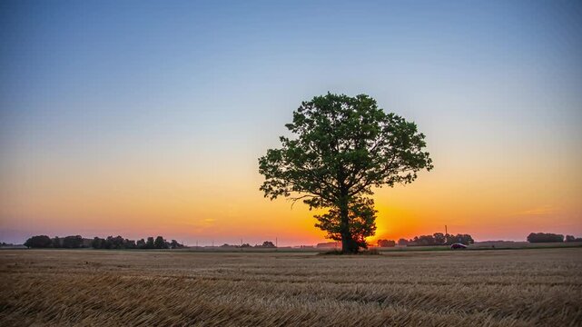View of a lone tree standing in a harvested field during a colorful sunset in Riga, Latvia.