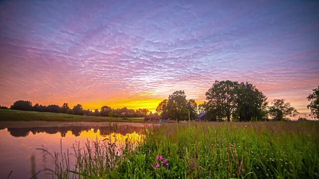 View of a peaceful pond at sunset with tall grass in the foreground and trees under a colorful sky in Riga, Latvia.
