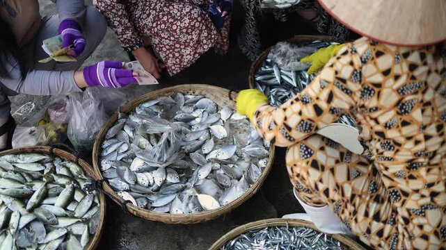 Customer paying cash money to local seller at fresh sea fish display at Vinh Hai market in Nha Trang, Vietnam. High angle view of small fish in wicker trays at traditional Asian seafood wet market.