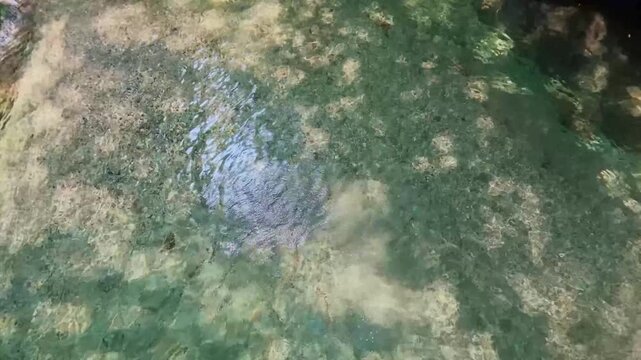 三樽権現の滝360 20260724-2