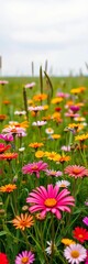 Fototapeta premium Vibrant wildflowers blooming in a lush green meadow, blooming, garden