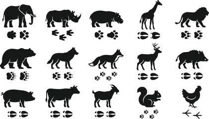 Obraz premium Set of wild and domestic animal silhouettes with their corresponding footprints.