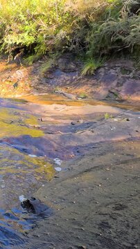 Water Flowing Over Rocks at Wentworth Falls in Blue Mountains